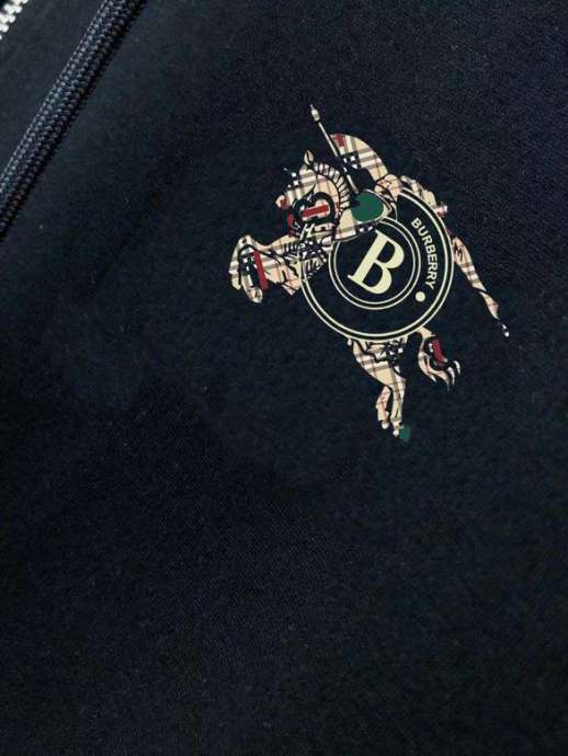 Picture of Burberry SweatSuits _SKUBurberryM-5XLkdtn14027542